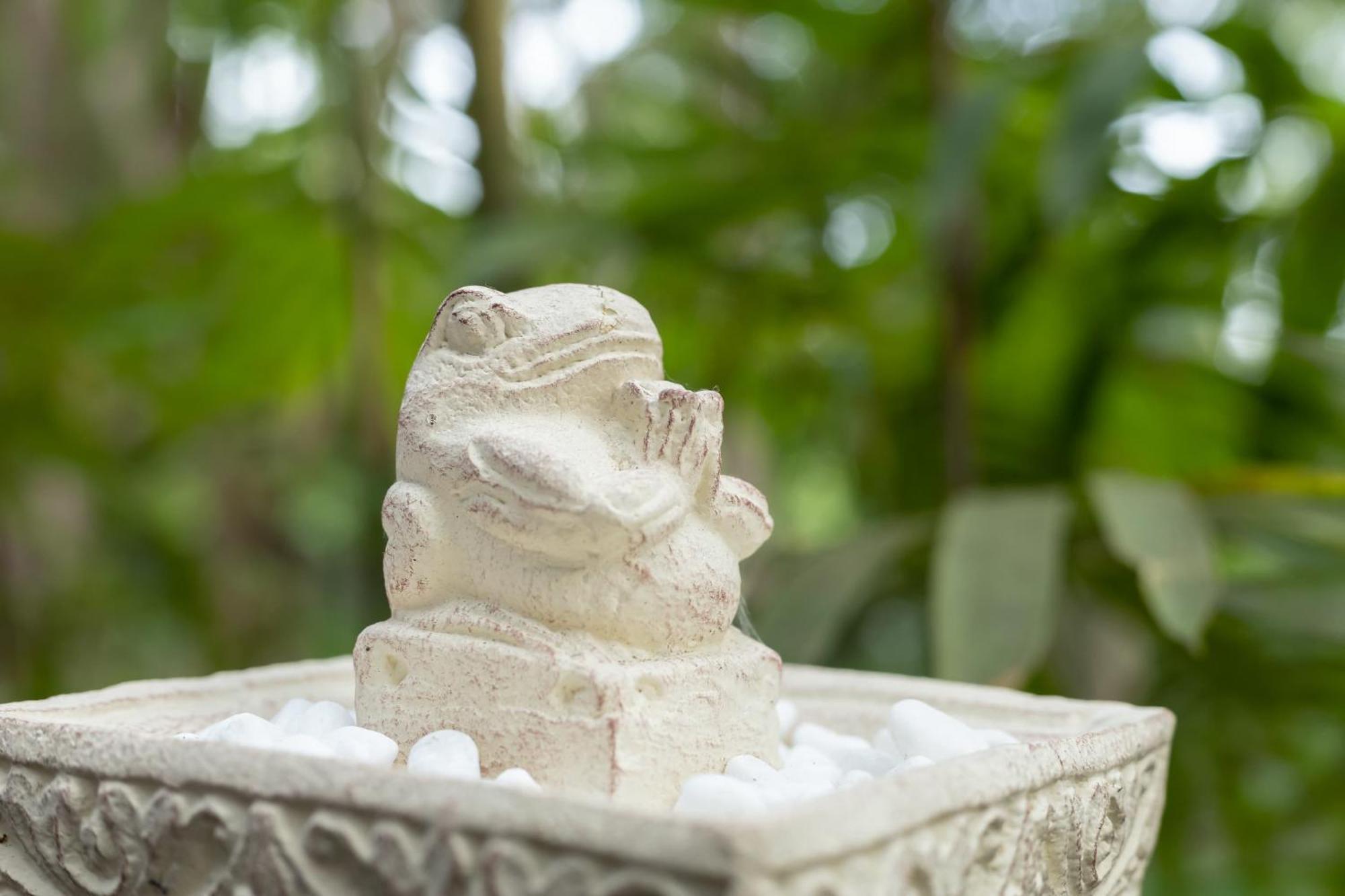 Thalassa Dive & Wellbeing Resort Manado Eksteriør billede