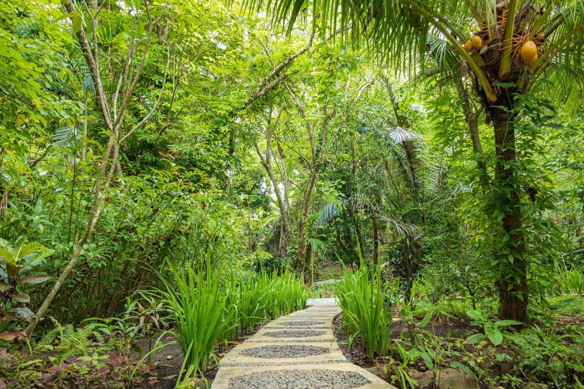Thalassa Dive & Wellbeing Resort Manado Eksteriør billede